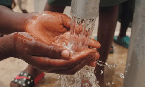 Save water